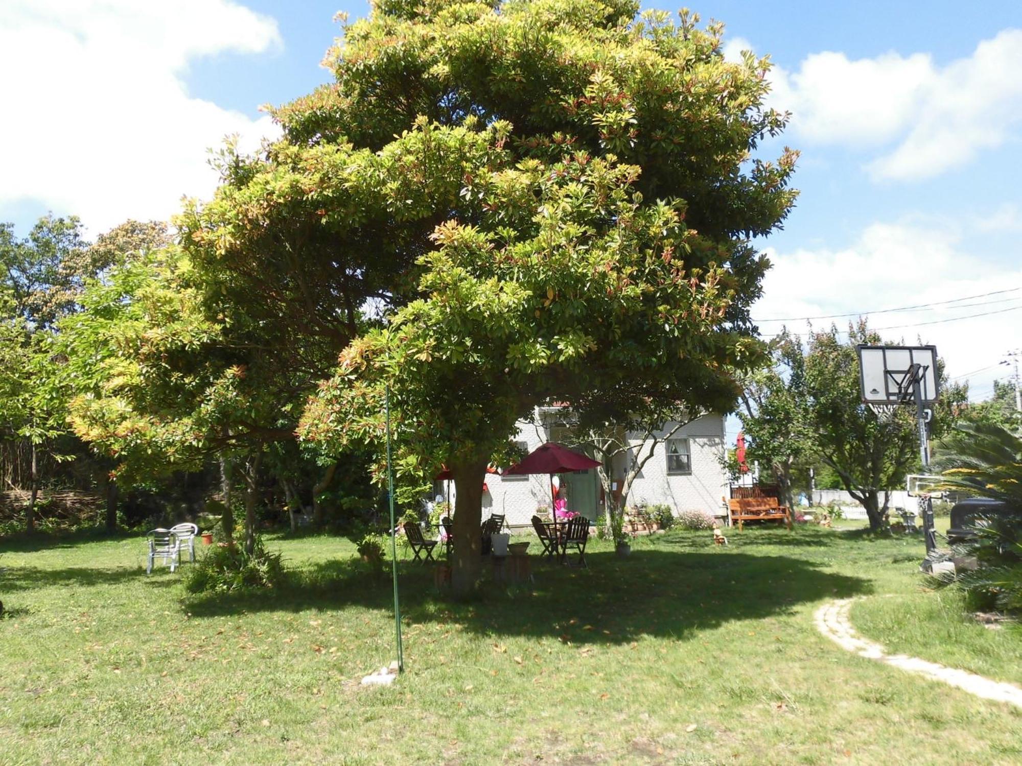 Pension Alba - Vacation Stay 70965V Tateyama  Exterior foto